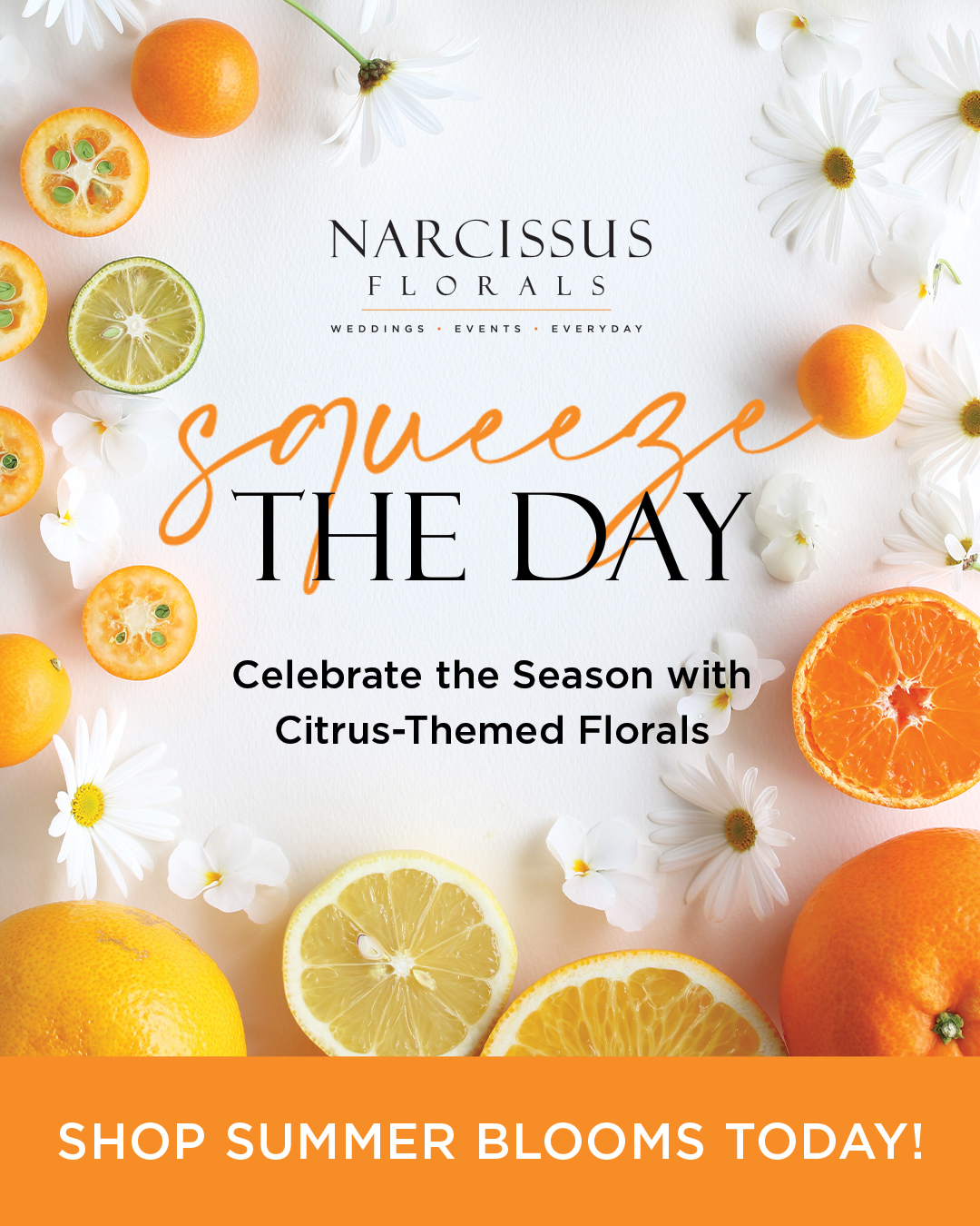 Design 446 - Social Media