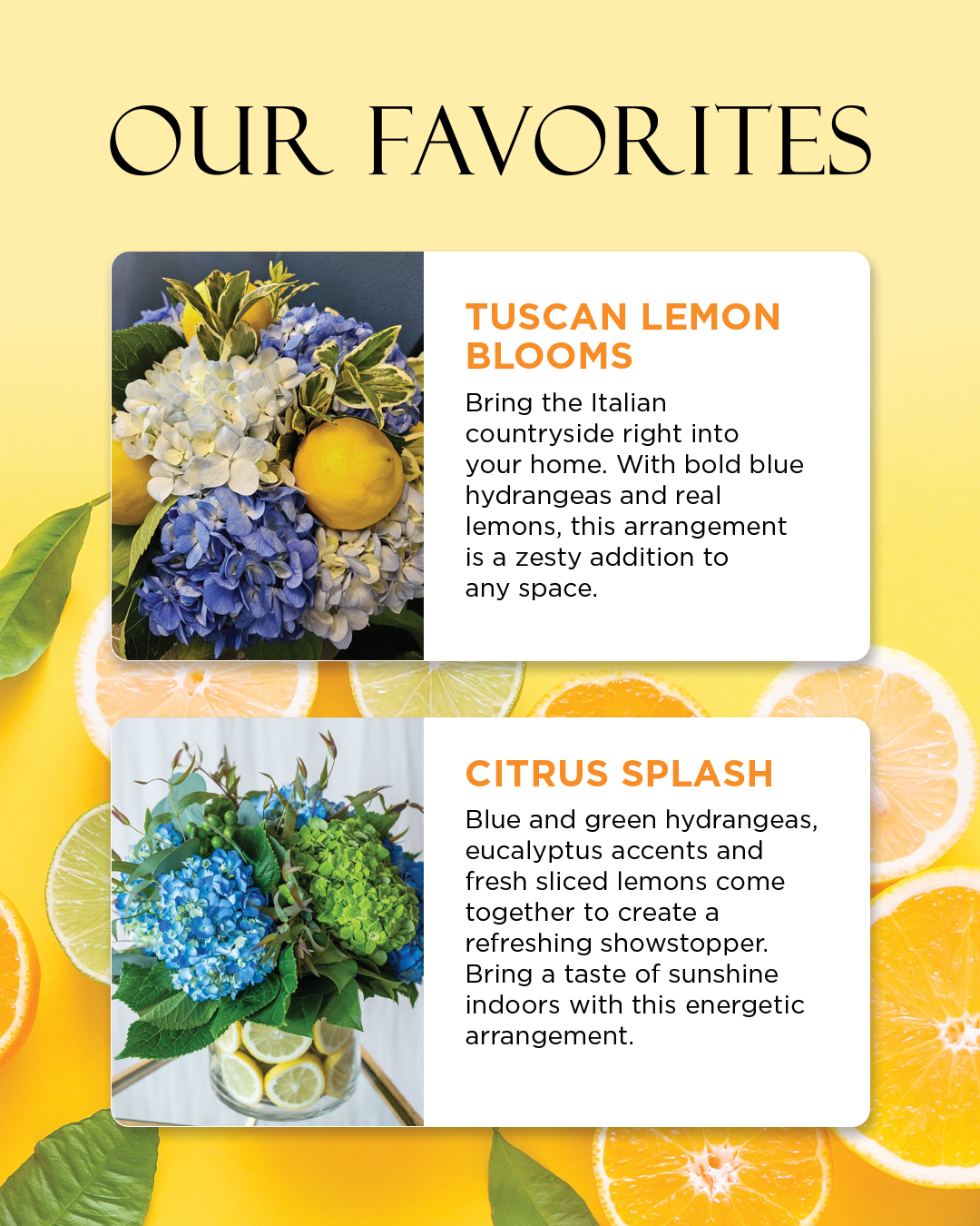 Design 446 - Social Media