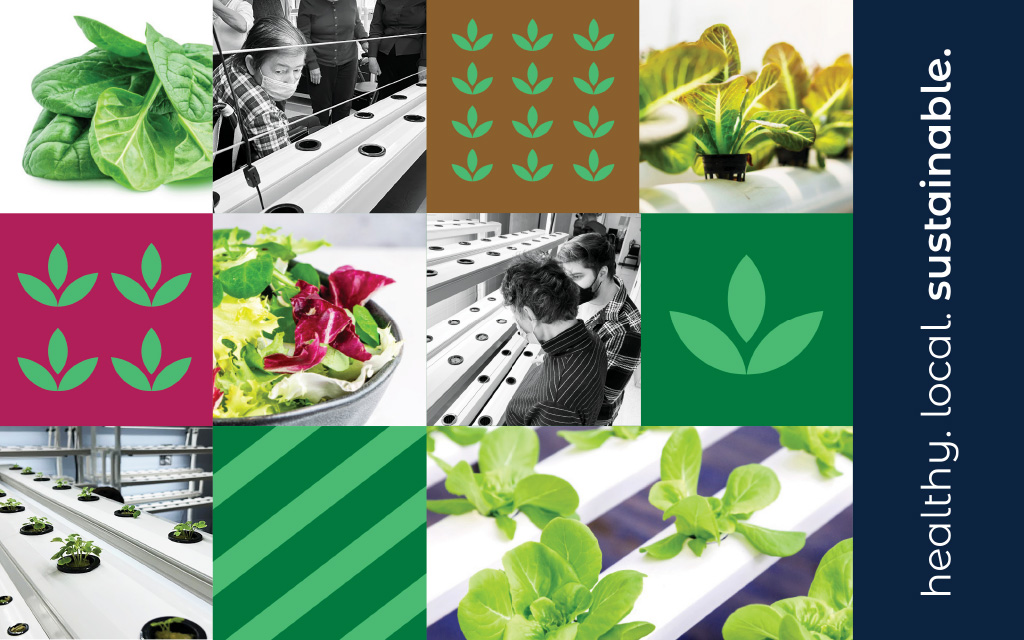 Design 446 - 21 Plus - Main Street Greens