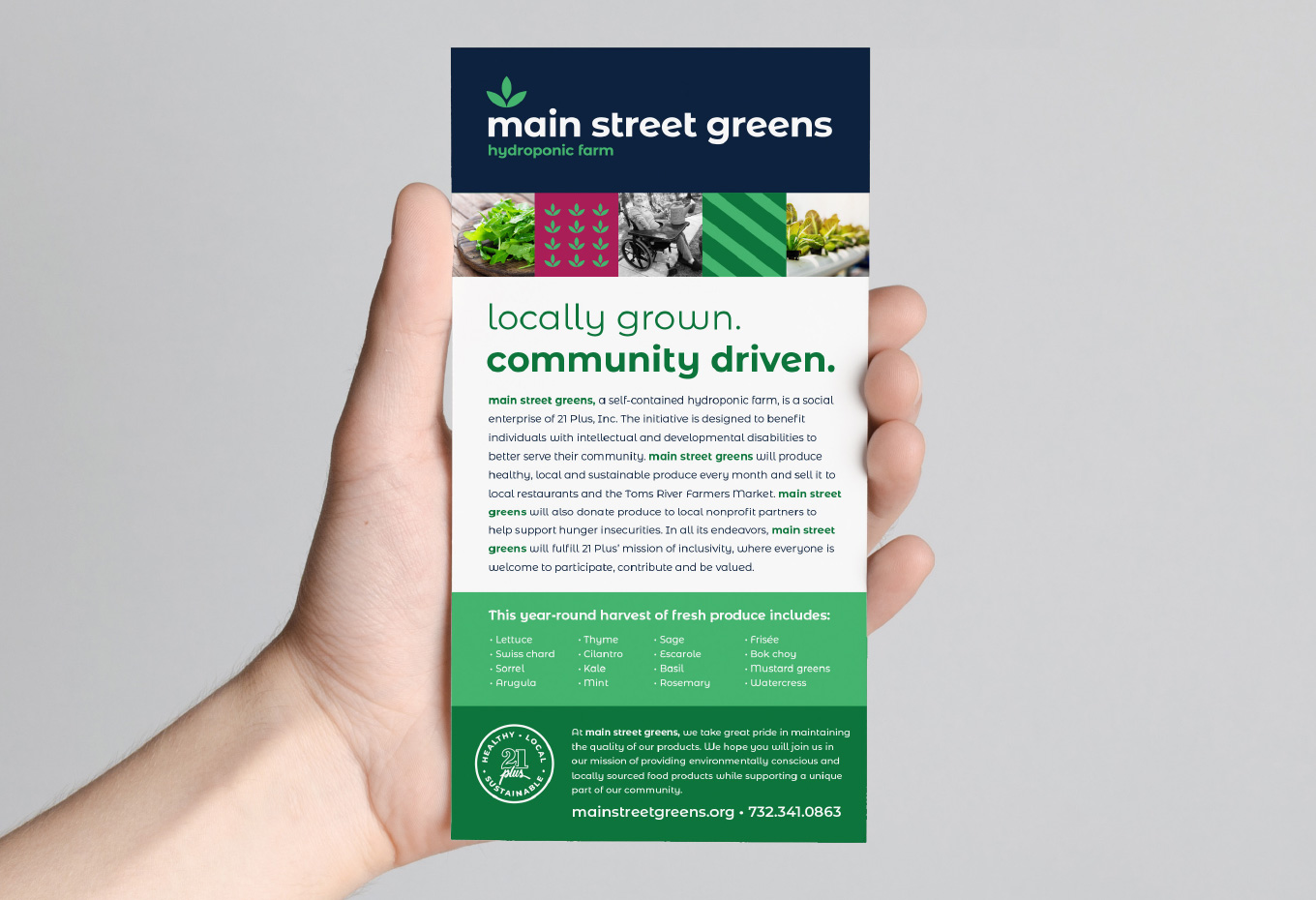 Design 446 - 21 Plus - Main Street Greens